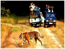 nainital tour package from haridwar